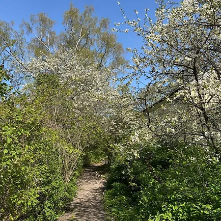 Apartamento Wooden House In Kaepylae Helsínquia