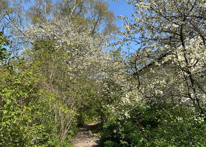 شقة Wooden House In Kaepylae هلسنكي